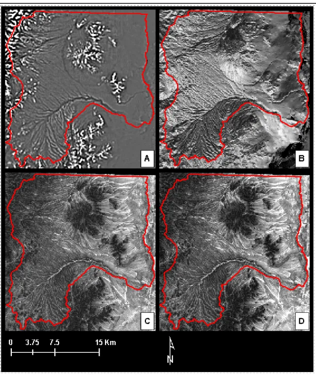 Figure 11. DEM-derived data. A: Curvature from 30-m DEM; B: Transformed aspect  from 10-m DEM; C: CTI form 10-m DEM; D: CTI with 5x5 low pass filter from 10-m  DEM