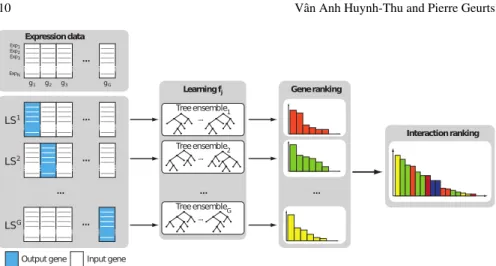 Fig. 3 GENIE3 procedure. For each gene g j , j = 1, . . . , G, a learning sample LS j is generated with the expression levels of g j as output values and the expression levels of all the other genes as input values