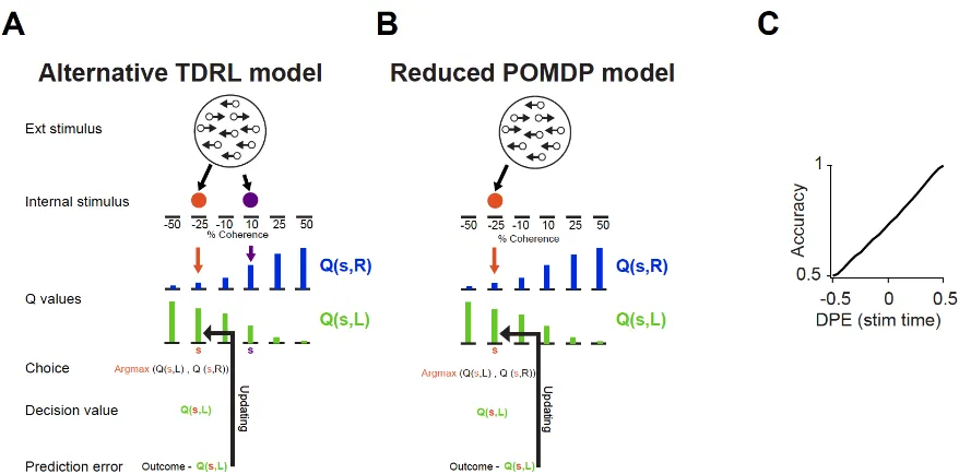 Figure S2. Schematic of the alternative model and the reduced POMDP model and additional predictions of the main TDRL model (Related to Figure 1)