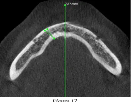 Figure 10    