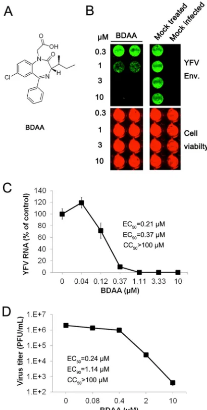 FIG 1 In vitro antiviral activity of BDAA against YFV. (A) Structure of BDAA.(B) Huh7.5 cells seeded in 96-well plates were infected with YFV strain 17D atan MOI of 0.1 for 1 h, followed by treatment with the indicated concentrationsof BDAA for 48 h
