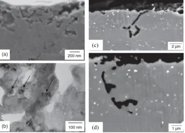 Figure 16. Surface-active filiform corrosion (left side figure): (a) SEM of cross-section show the initial stages 