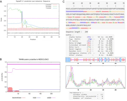 Figure 1. Secondary structure prediction results for the OMP31 protein. A. Signalp-4.1 Server software was used to analyze the signal peptide