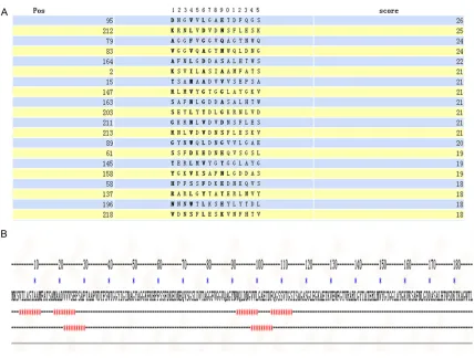 Figure 3. T-cell epitope prediction results for the OMP31 protein. Selected from the twenty highest-scoring regions with SYFPEITHI software (A)