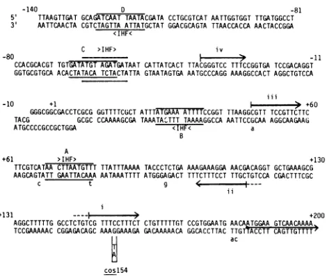 TABLE 4. Effect of cosl54 on k DNA packaging-results of theTer test