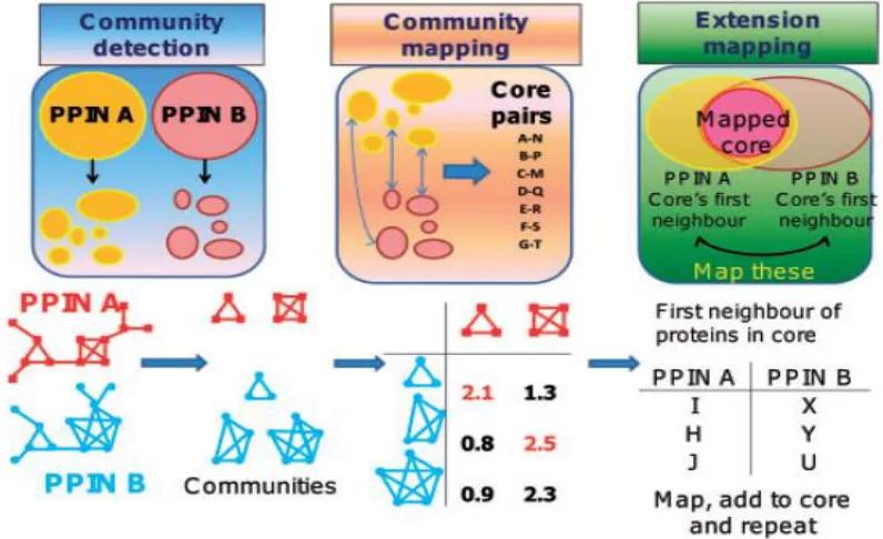 Figure 3.10: (i) Community Detection (ii) Community Mapping (iii) Extension Mapping 