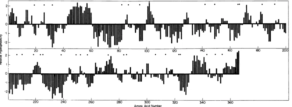 FIG. 4.aromatic Hydropathicity profile of polypeptide cr3 generated by computer by the procedure of Kyte and Doolittle (16)