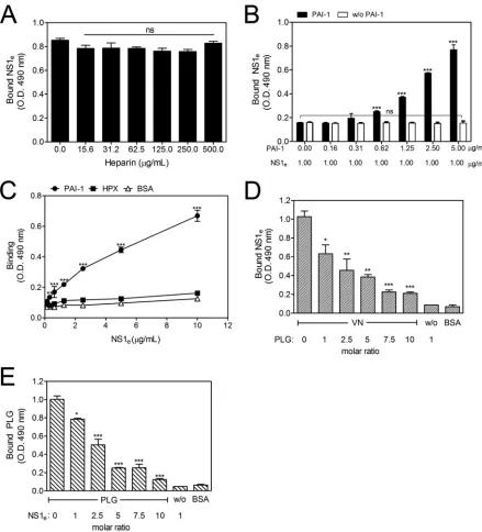 FIG 3 The NS1-VN interaction is affected by PAI-1 and PLG but not by heparin. Microtiter plates were coated with VN (100 nM), and the effects of increasingincreasing amounts of NS1concentrations of heparin (A) and PAI-1 (B) on the binding of NS1e to VN wer