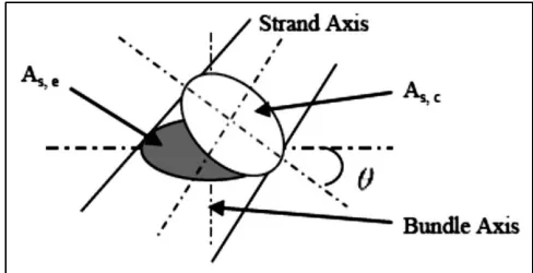 Fig. 4 Cross sectional view of a strand after twisting  