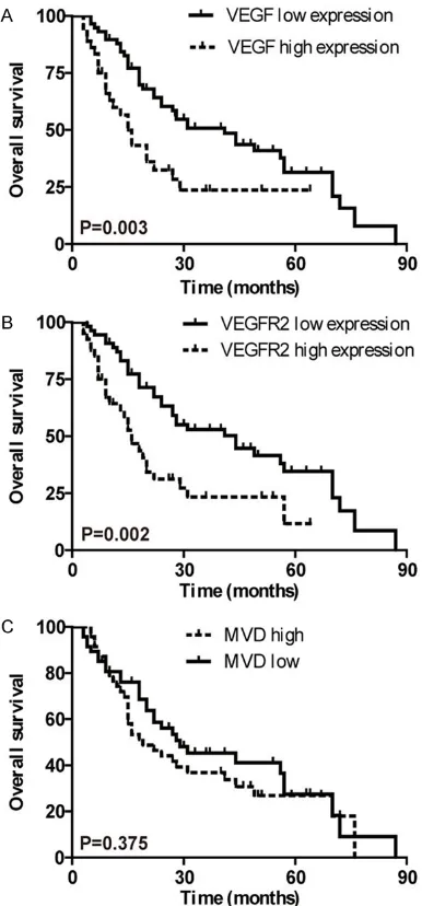 Figure 2. MVD in the low and high VEGF (A) or VEGFR2 (B) expression groups. The data are presented as mean ± SEM