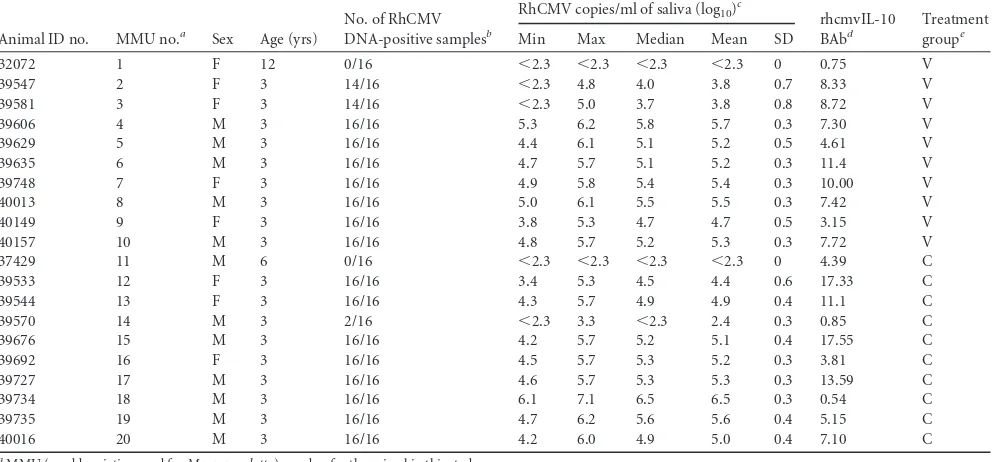 TABLE 1 Summary of ﬁndings in individual study animals