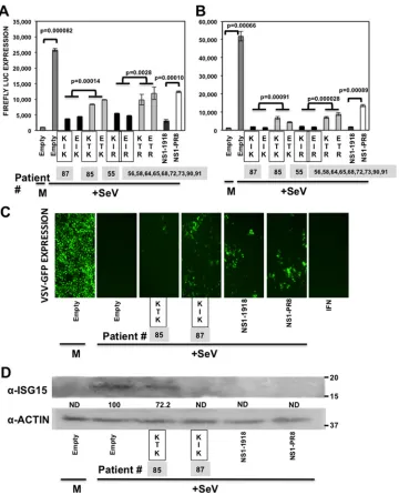 FIG 3 Effect of IAV H3N2 NS1 protein mutations on innate immune responses induced by SeV infection