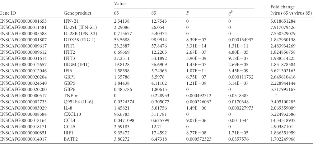 TABLE 3 Innate immune response genes in 65 and 85 virus MDCK-infected cells