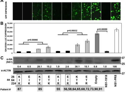 TABLE 4 Amino acid changes in NS1 proteins from inﬂuenza A/H3N2virus circulating during 2012-2013 season