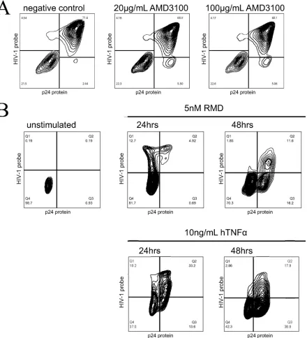 FIG 5 The single-positive protein population is not the result of new rounds of HIV-1 infection