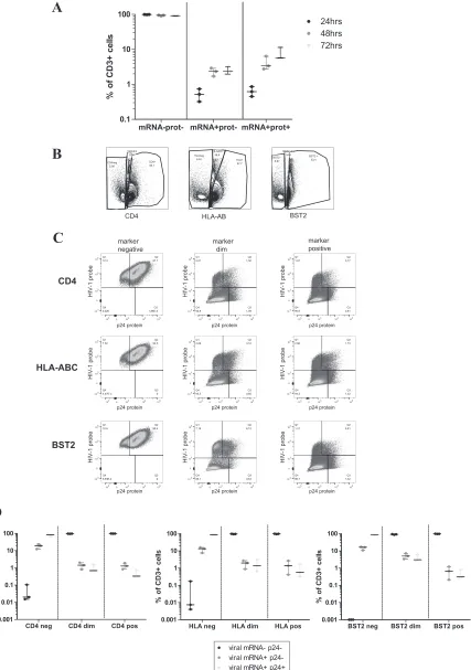 FIG 6 Cell surface levels of BST-2, HLA class I, and CD4 in the mRNA-negative and protein-negative, the mRNApositive CD4then infected at an MOI of 0.02 with NL4-3 virus