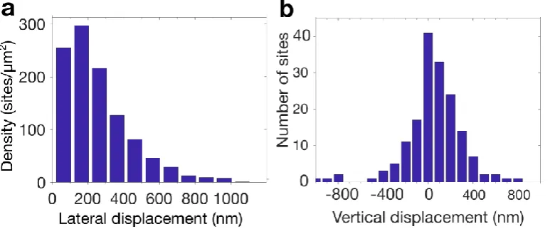 Fig. 2. Positioning precision of single nitrogen vacancy centres in array M. a in the XY plane of the array