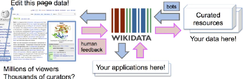 Fig. 1. Wikidata provides a centralized resource for structured data. Applications including, but  not limited to, Wikipedia can now read and write to Wikidata
