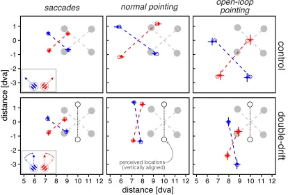 Figure 2. Example of data analysis for one participant. Filled dots represent the average saccade/pointing location (error barsrepresents 95% CI); blue dots represent left tilt and red dots right tilt