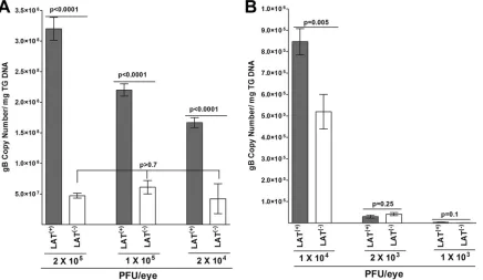 TABLE 1 P values for differences within LAT(�)- and LAT(�)-infected TG across dosesa