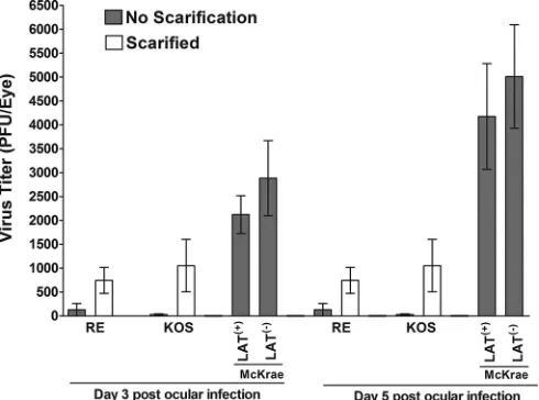 FIG 7 Virus titers in the eyes of infected mice. WT C57BL/6 mice were ocu-larly infected with 2dLAT2903 [LAT � 105 PFU per eye of HSV-1 strains McKrae [LAT(�)],(�)], RE [LAT(�)], and KOS [LAT(�)] as described in Mate-rials and Methods
