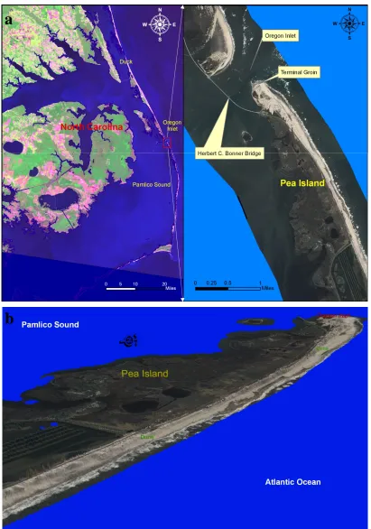 Figure I-3.1: Study area: a. Location; b. 3-D overview. 