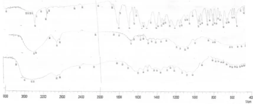 Figure 10.Hixson-Crowell Plot of Optimized Formulation (F12). 