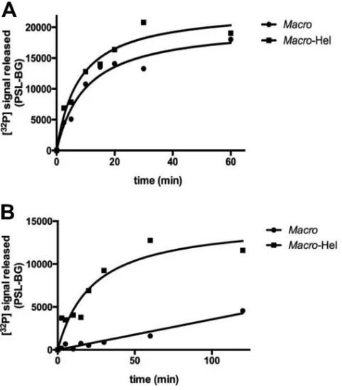 FIG 4 Time course of macro domain and macro-Hel activity on mono-ADP-ribosylated PARP15 (A) and poly(ADP)-ribosylated PARP5a (B) catalytic do-mains