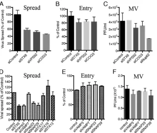 FIG 2 Depletion of retrograde transport factors reduces virus spread but not entry or formation of infectious virus