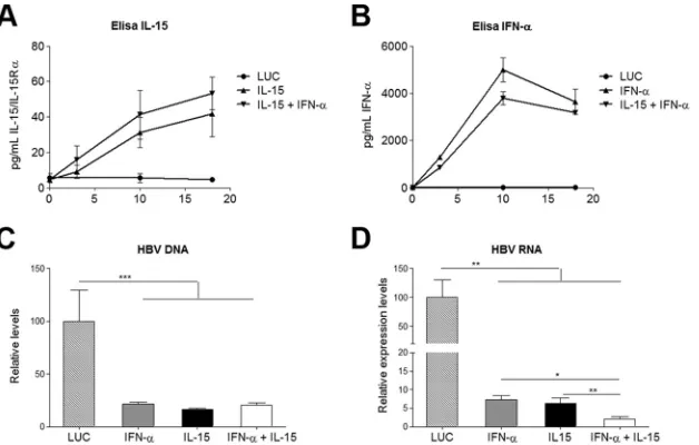 FIG 1 Cytokine expression and reduced HBV nucleic acids. (A and B) Concentrations of the IL-15–IL-15Rto 6 animals/group are shown
