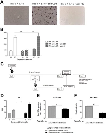 FIG 5 Combined IL-15–IFN-of CD80 and day 4 (dGADPH levels. All data are presented as mean (� treatment confers partial protective CD8 immunity