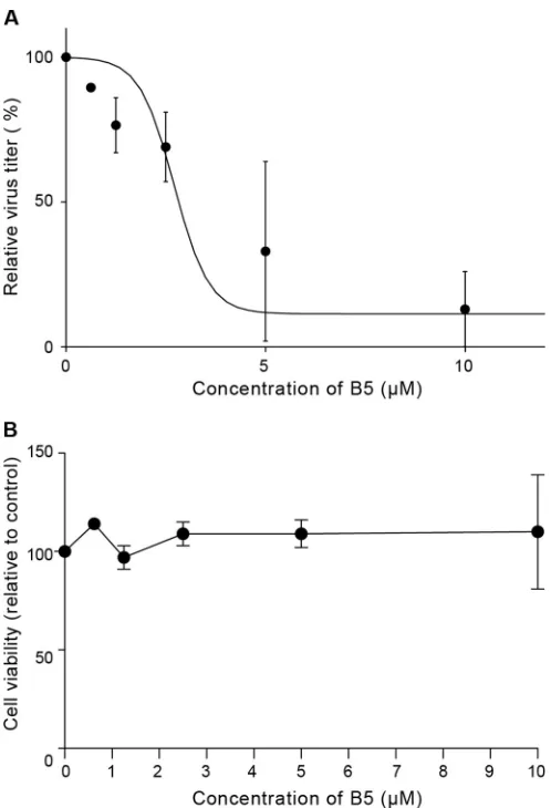 FIG 5 B5 inhibits HCV infection in primary human hepatocytes. (A) Dose-dependent decrease of infectious virus titers released from freshly isolatedprimary human hepatocytes infected with JFH1 (MOI of 2.5) and treated withincreasing amounts of B5 or solvent