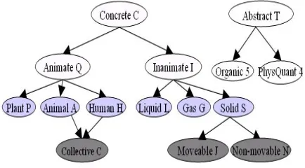 Figure 1: Structure of some semantic categories used in theLangman dictionary.