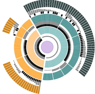 Fig. 5. A Sunburst Tree extended with HEDA showing the possibilitiesoffered with local hierarchical reordering