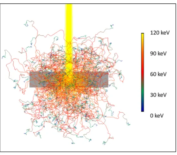 Figure 1-4 Image of the electrons travelling inside the target material produced with software “CASINO” [39]