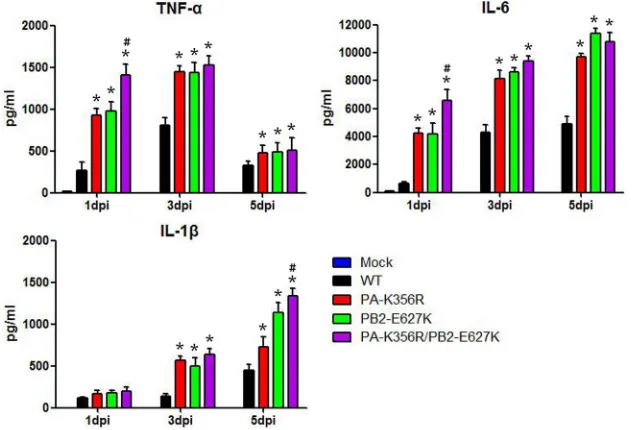 TABLE 1 Average virus titers in organs of infected mice
