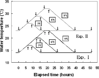 Figure 1. WT changes designed for the Exp. Ⅰ and Ⅱ.  