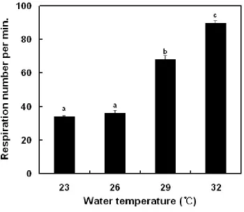 Figure 5. Variations of respiration number in olive flounder, Paralichthys olivaceus after WT changes.