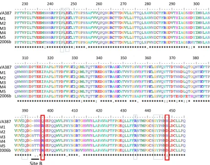 TABLE 1 Primers used for site-directed mutagenesis