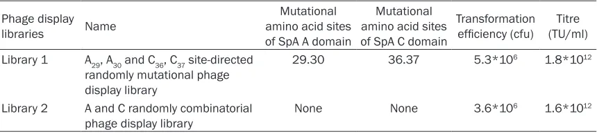 Table 1. The names, mutational sites and evaluation of the combinatorial phage libraries