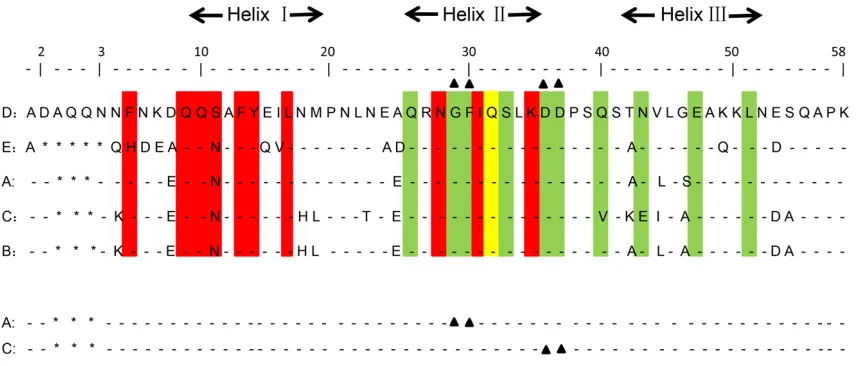 Figure 1. Alignment of the amino acid sequences of the five SpA domains and the mutation sites of SpA A domain and SpA C domain