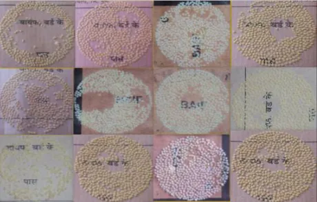 Fig.2. Different database images. 
