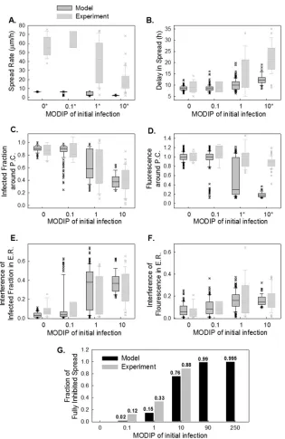 FIG 9 Simulated spread features obtained using optimum parameter set 2. (A to F) Spread rate (A), delay in spread (B), infected fraction (C), relativein experiments (gray bars) is compared with that estimated by the model (black bars) under tested (MODIP, 