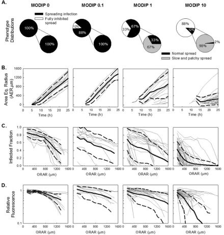 FIG 3 Quantitative analysis of infection spread. Features extracted from spread patterns initiated by single cells coinfected with different DIP levels (given at thetop) are shown