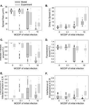 FIG 8 Simulated spread features using optimum parameter set 1. The spread rate (A), delay in spread (B), infected fraction (C), and ﬂuorescence (D) around theplaque center, interference of infected fraction (E), and interference of ﬂuorescence (F) in early
