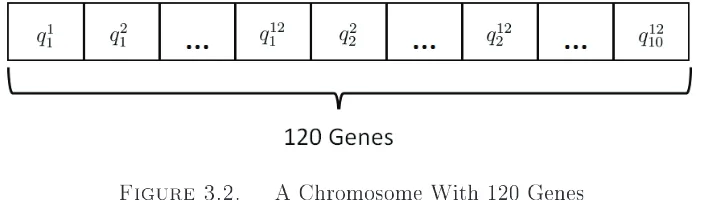 Figure 3.2.A Chromosome With 120 Genes