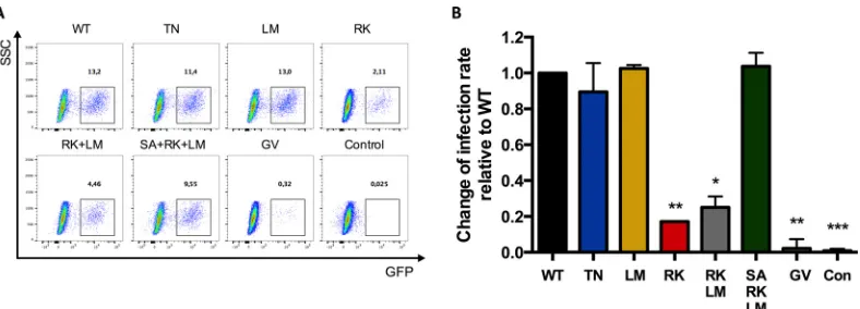 FIG 1 GFP expression in CD4� T cells following infection with viruses containing escape mutations and compensatory mutations