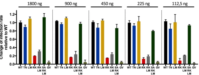 FIG 2 GFP expression in CD4� T cells following infection with different amounts of p24 of viruses containing escape mutations and compensatory mutations.The infectivities of the escape mutations (TN and RK in p24 Gag) and compensatory mutations of RK (LM, 