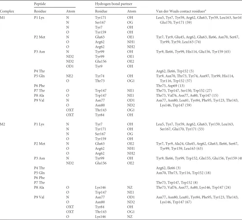 TABLE 3 Hydrogen bonds and van der Waals interactions between HA-KMN9 peptides and peptide-binding domains of M1 and M2 molecules
