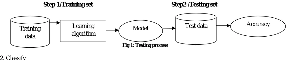 Fig 1: Testing process 